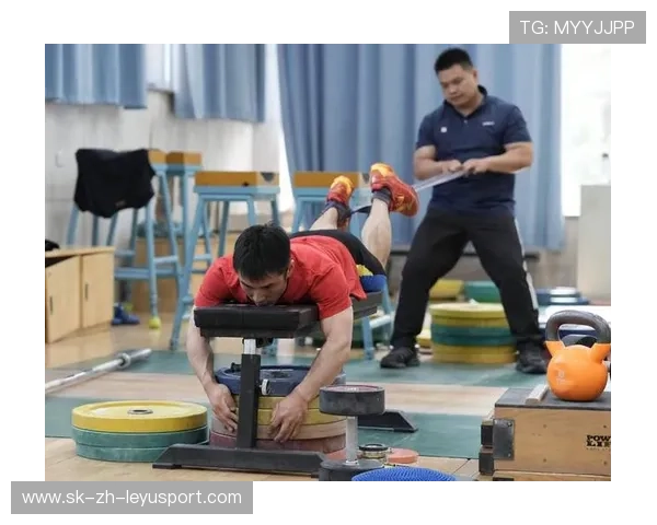 举重学院完善青少年训练日志的标准化与反馈流程，举重训练计划